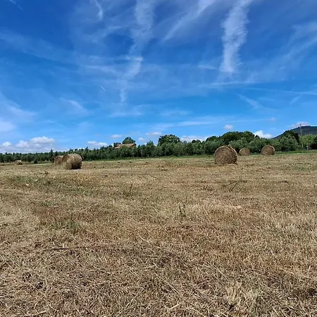 Casa vacanze Oliva Canino